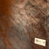 REBELLION RUST EFFECT colors 5L
