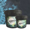 REBELLION Zestaw 2 kolory 5L +1L