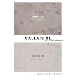 PUNICE of CALLAIS XL 10L SET