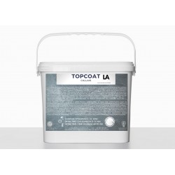 Lakier TopCoat 1L