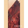 Wood protect Laquer  KALCYT TopCoat W 3L