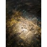 REBELLION CAMELEON Antracyt green, copper and gold  5L